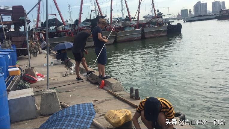 深圳海钓免费地点推荐,深圳大鹏海钓免费最佳地点