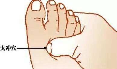 什么是生物电,什么是生物电及原理