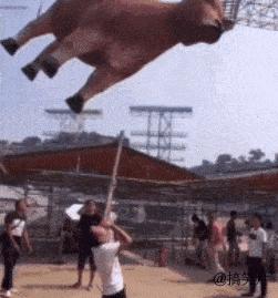 辜鸿铭有多聪明,辜鸿铭多厉害