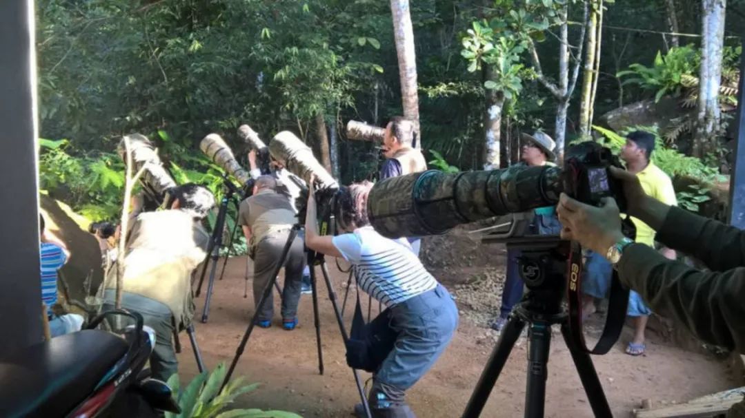 买相机需要知道的那些事,小白入坑相机买什么牌子