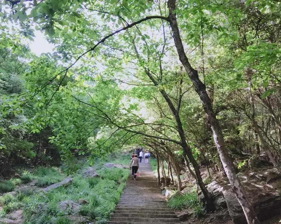 武汉免费一日游打卡,武汉旅游必去打卡十大景点