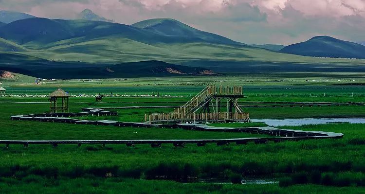 若诗若画若尔盖美景,若诗若画若尔盖文案