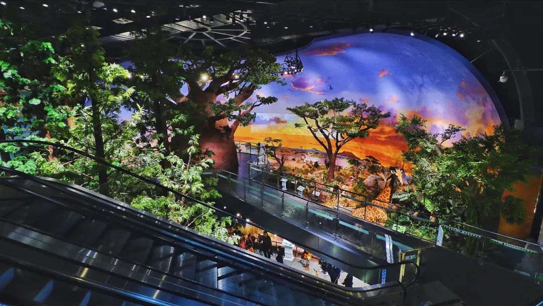 青岛贝林自然博物馆,青岛贝林博物馆门票优惠政策