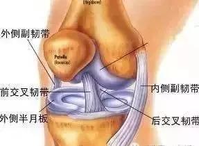 科学康复，让球场下的尖叫声再次为你响起