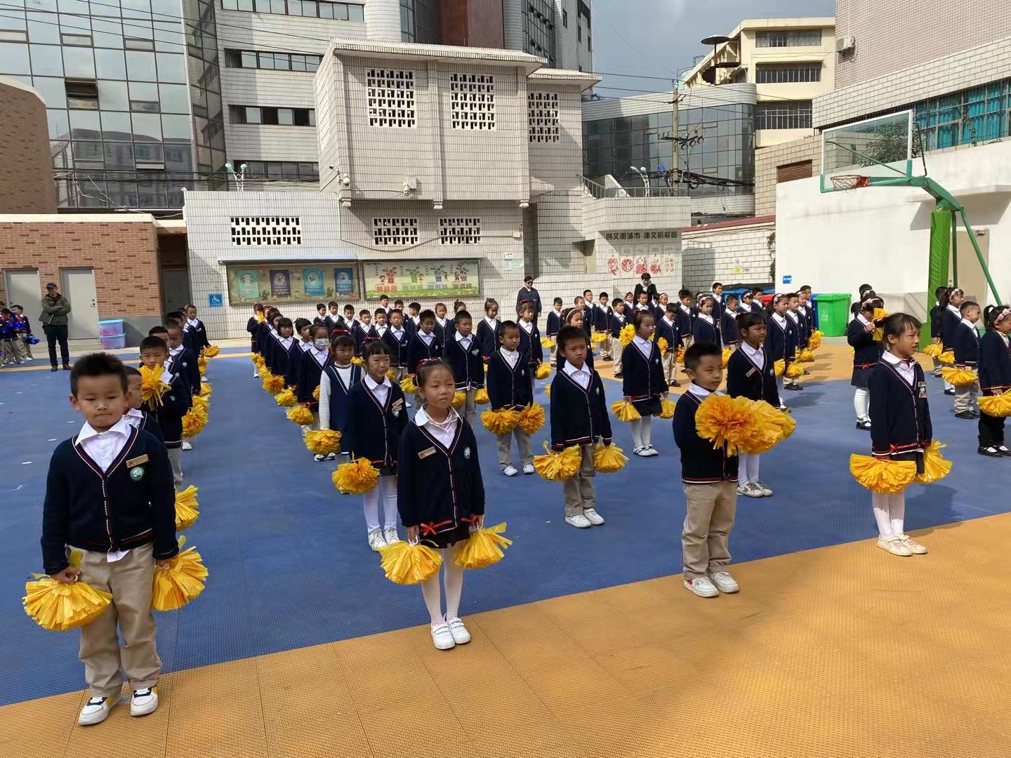 莲华小学蓝花楹校区在哪里,莲华小学蓝花楹校区怎么样