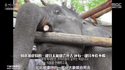 9.4分韩国催泪电视剧,韩国十部9.5评分催泪电影