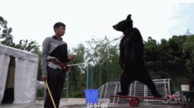 富二代晒人骨皮包的真相完整版,富二代晒人骨皮包图片