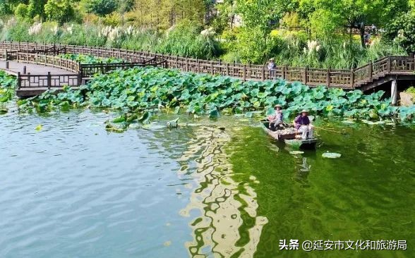 鏁伴娴佷汉鐗╃湅浠婃湞绱犳潗,鏁伴娴佷汉鐗╃湅鍘嗗彶娌夋诞