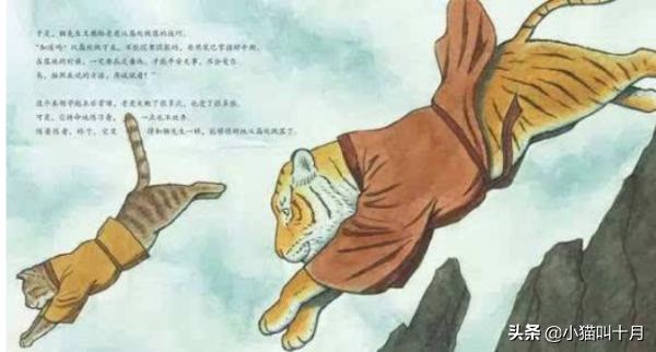 猫和老虎的故事的看图写话,老虎和猫的故事全文