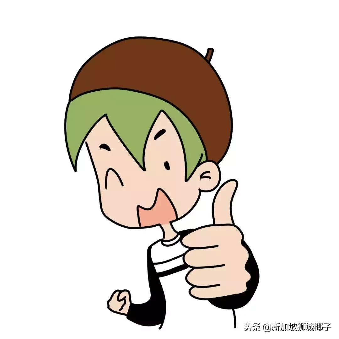 新加坡用什么软件买东西,新加坡便宜实惠的购物平台有哪些