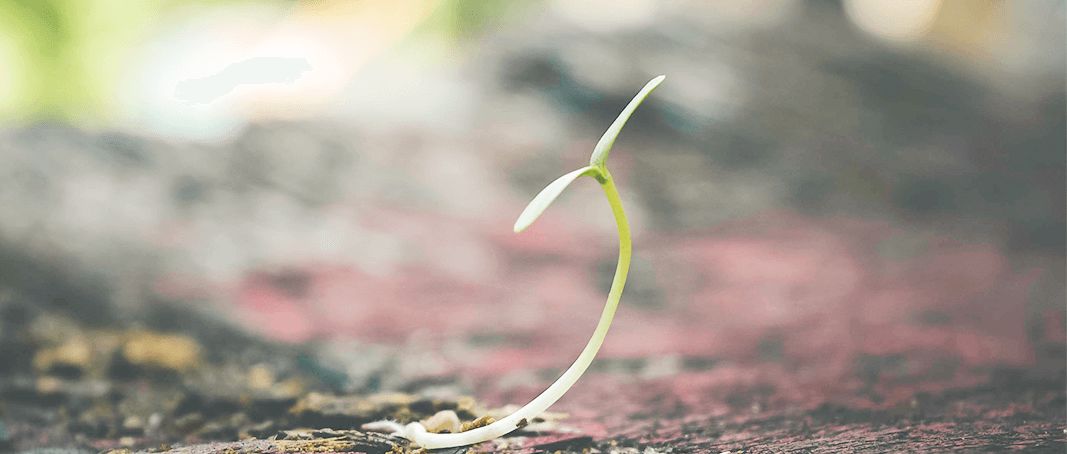 易快报付款申请,易快报融资