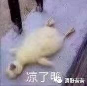 美白丸适合什么肤色,pola美白丸真的有美白效果吗