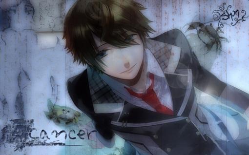 十二星座男生爱情套路语录,12星座男撩人的情话