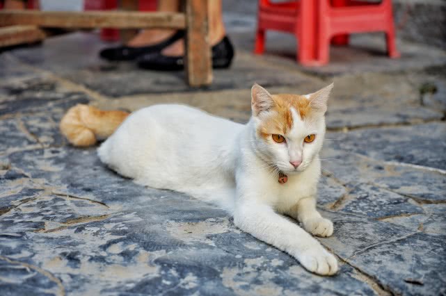 贺州旅游必去十大景点排名,贺州旅游十大最佳景点推荐