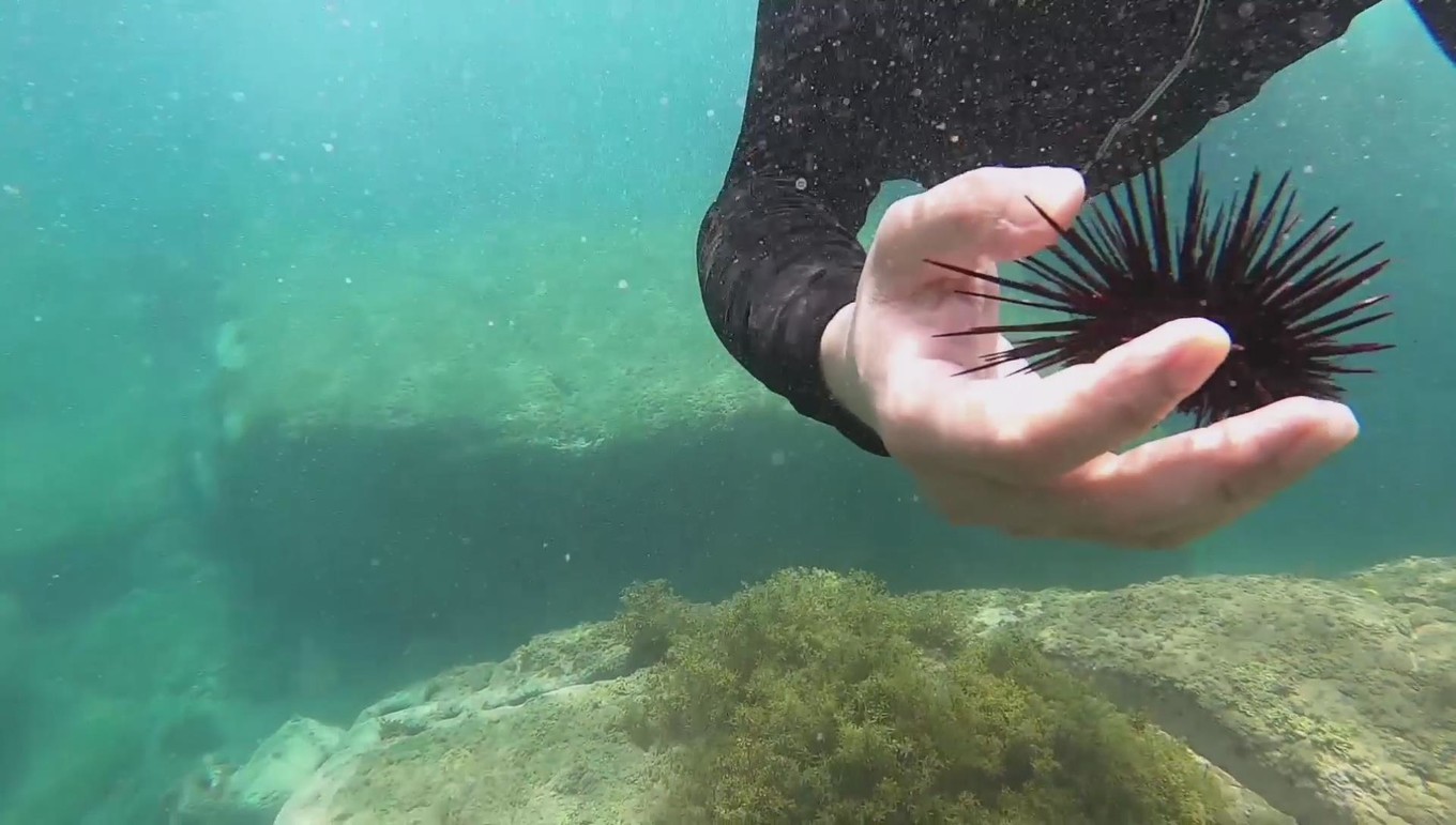 南澳岛看海完整版,南澳岛看海解读