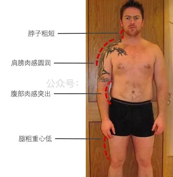 微胖男生显瘦polo衫,178偏瘦男生穿衣搭配