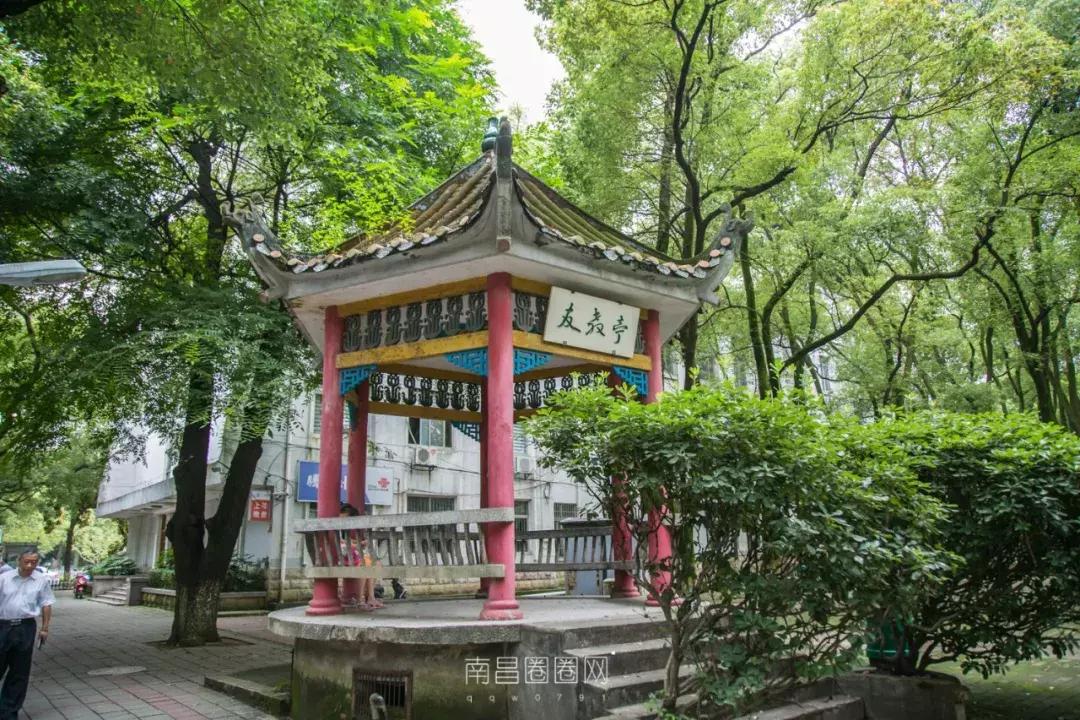 北京西路江西师大,南昌北京西路的师大附中