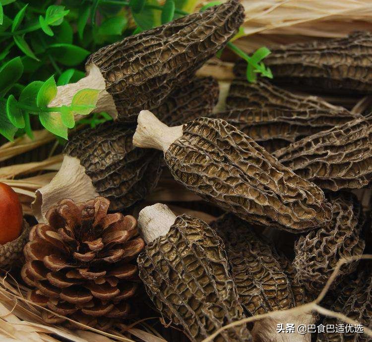 羊肚菌吃起来什么味道,羊肚菌一次吃12个有事吗