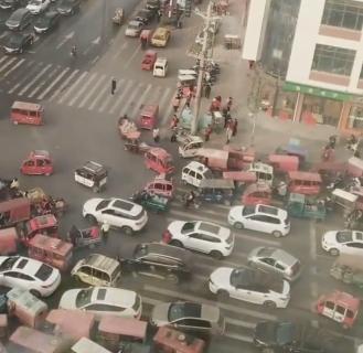 出门遇到这“街头流氓”,我劝你快逃