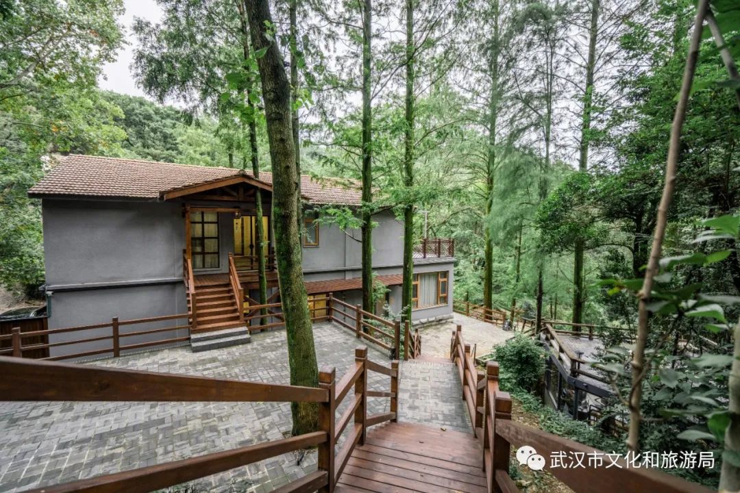藏在武汉郊野的4家美宿,武汉藏在山里的民宿