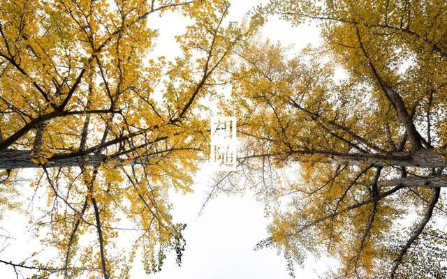 突然就想去旅游了,忽然间就想去厦门了