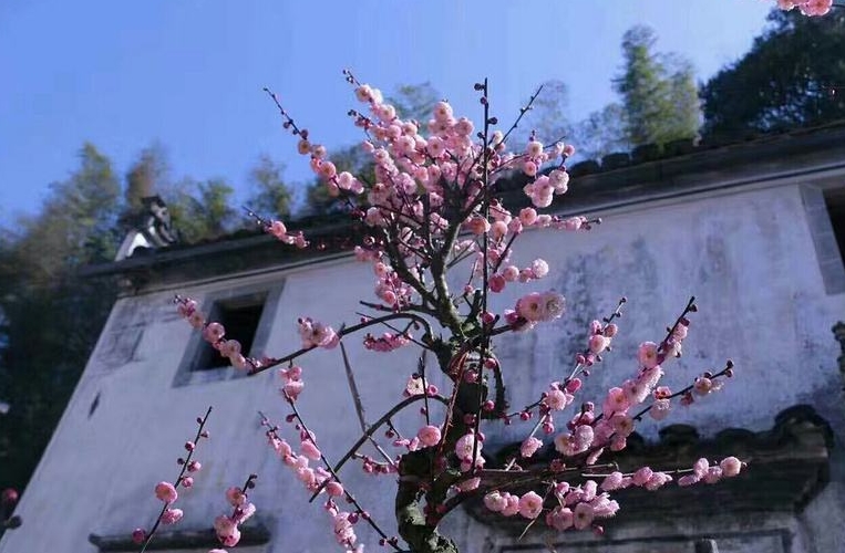 这才是7月最值得去的16个地方,这才是夏天最值得去的20座海岛