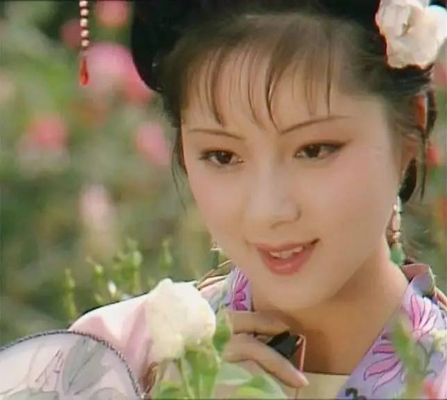 红楼梦中有脏话怎么理解,红楼梦里面的讽刺