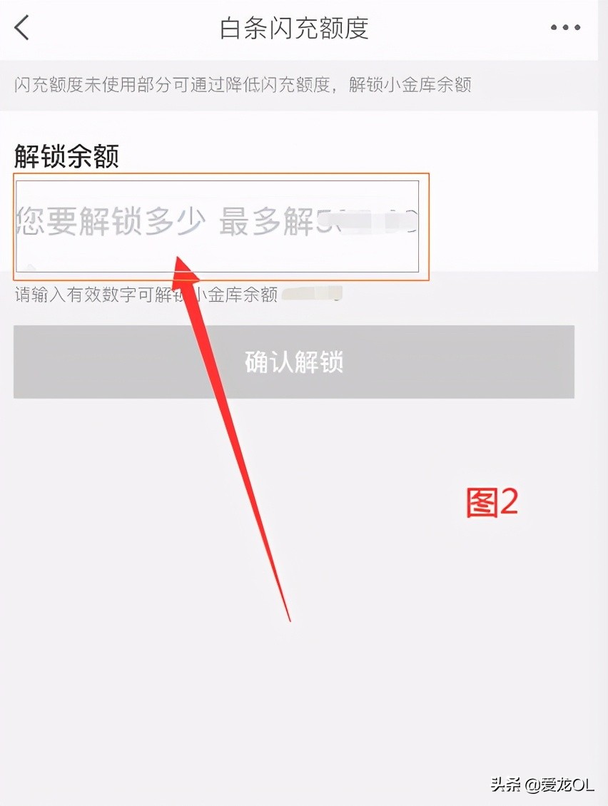 京东小金库冻结的钱怎样转出来,京东开白条冻结的小金库怎么解冻