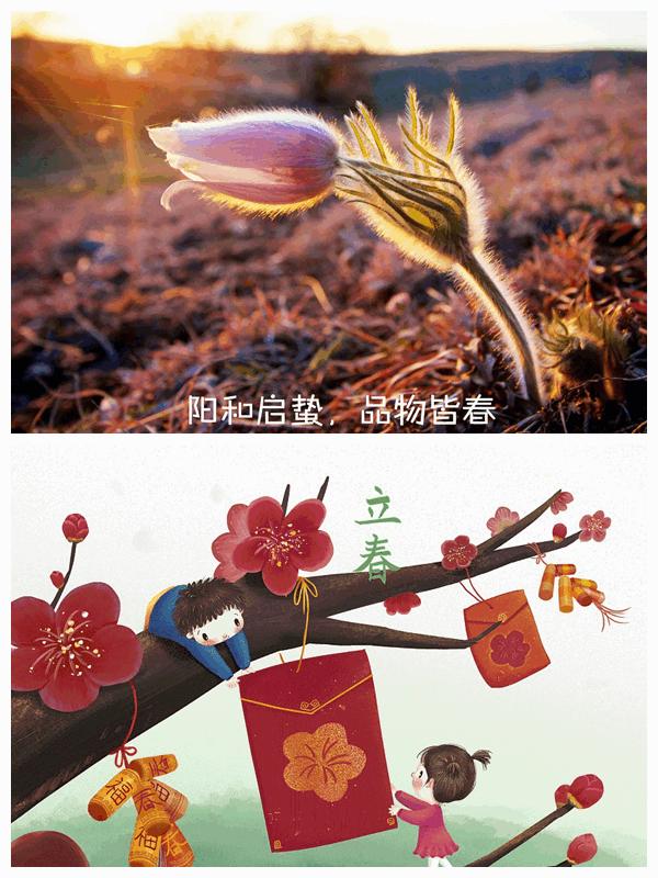 春节浪漫情人节,情人节调香师