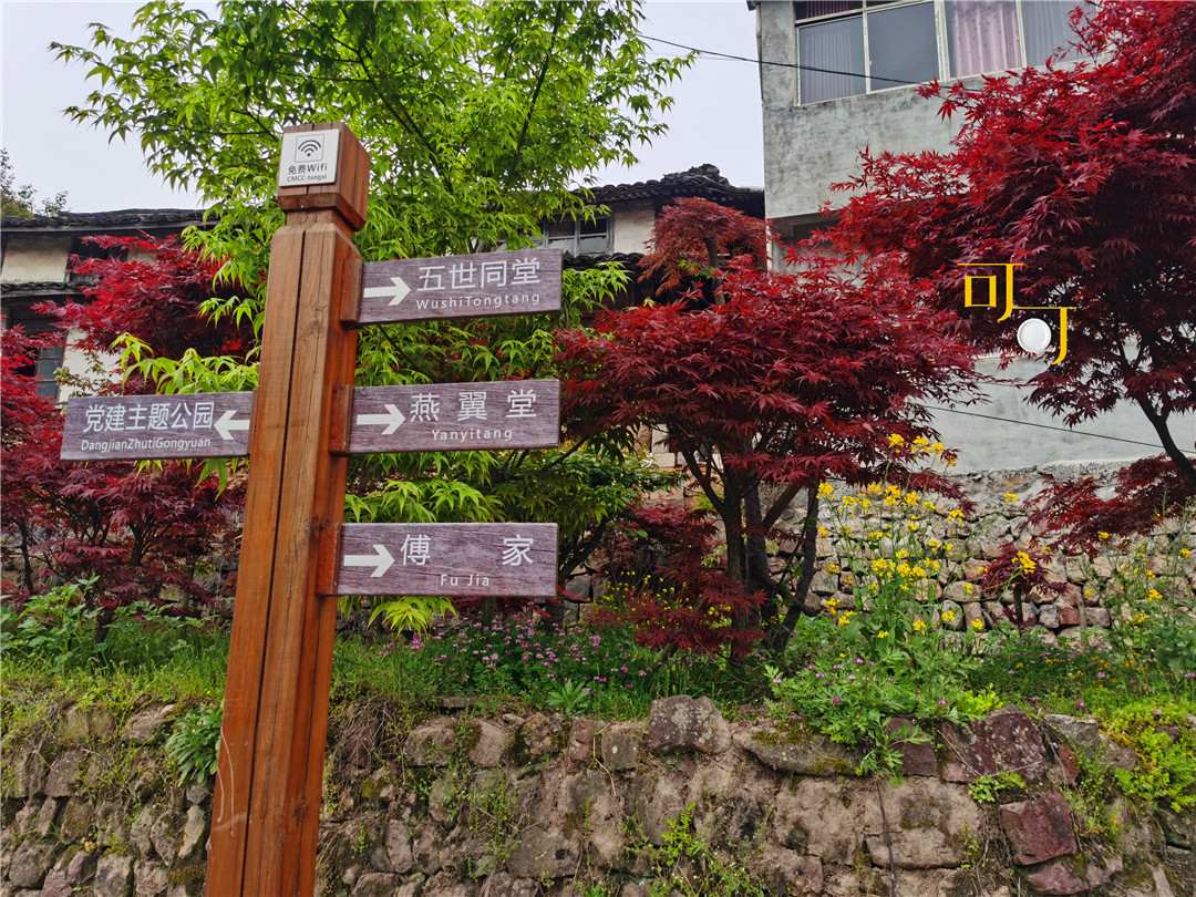 余姚四明山农家乐跟团游有吗,余姚市四明山高山布依农家乐