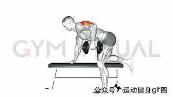 100张肌肉分解图,手臂肌肉的爆发力怎么练