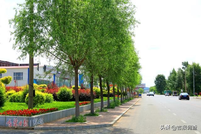 辽源城市环境变化图片,辽源环境