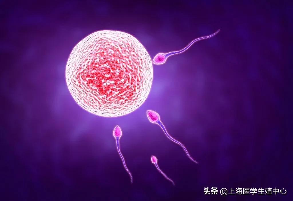 试管婴儿取完卵防止腹水,试管婴儿取完卵怎么调养身体