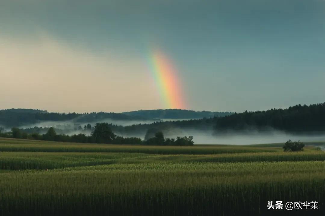 那些彩虹的摄影碎片，反射着诗的光芒。