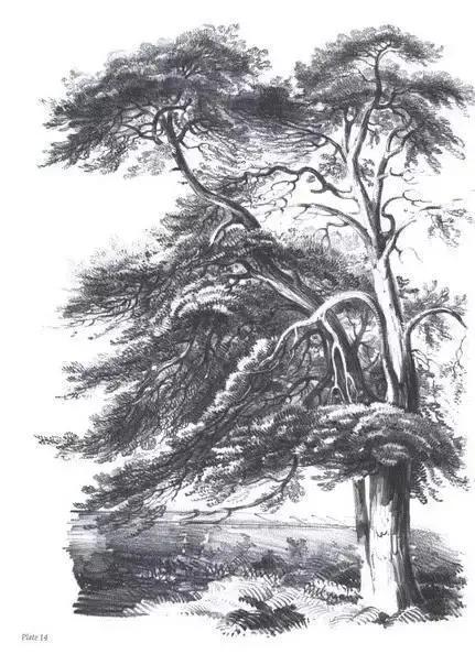 风景速写1000例临摹图高清,炭笔速写风景初学者图片教程