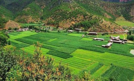 没有确权的土地纠纷法院会管吗,家里土地没有地契怎么办