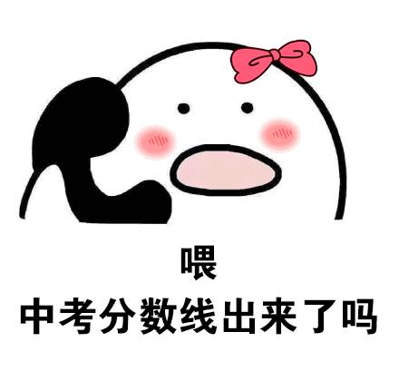 上蔡中学中招录取排名,上蔡北大公学一本过线率