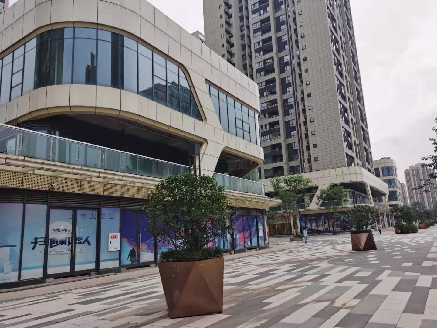 蔡家龙湖天街最新进展情况,蔡家龙湖开发公司