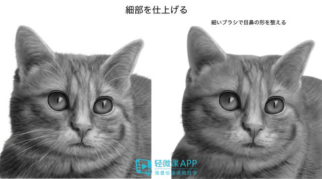 动物的脚印可以怎么画成小动物,小动物和动物妈妈温暖的简笔画