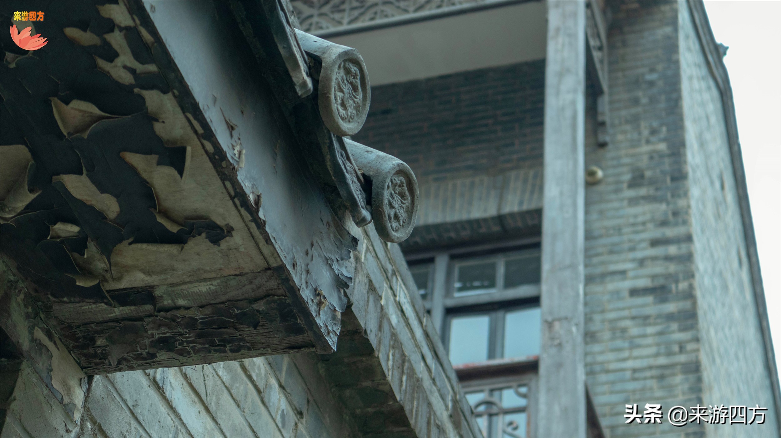 济南中山公园赏花,济南公园赏秋叶