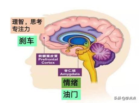 孩子打架把牙齿打掉了怎么办,孩子上小学把别人门牙打掉了