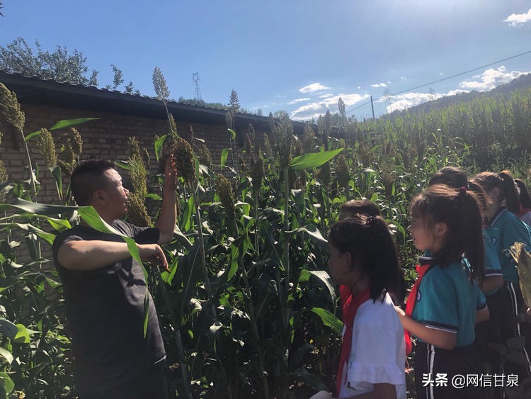 延安甘泉：播种绿色希望，收获金色成长——记甘泉县第三小学综合实践活动