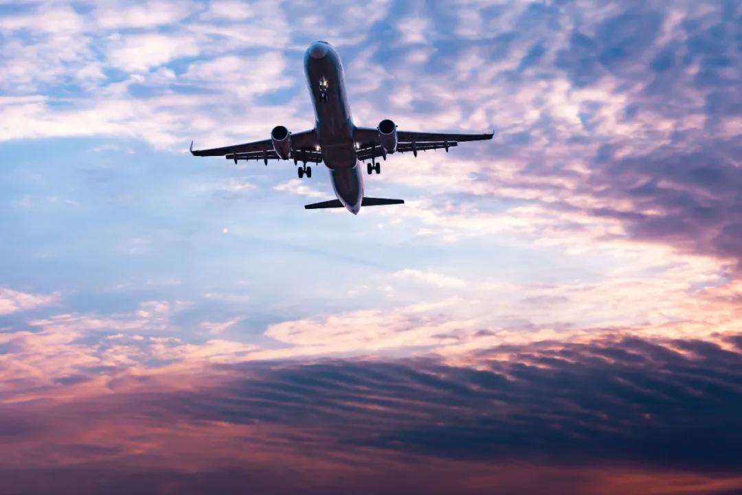 在空港花田里怎么拍照好看,每张都是屏保