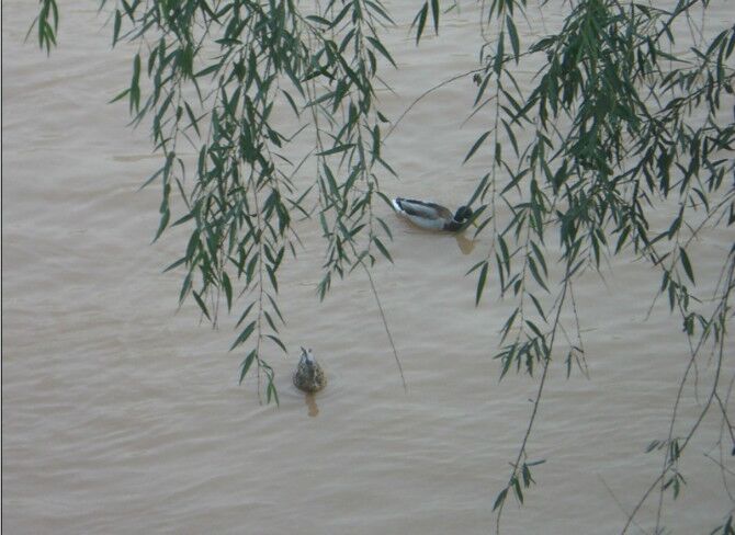 成都到额济纳旗五日游,南京到额济纳旗旅游攻略