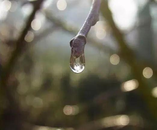 书写横画在字的不同位置技法,横字的笔画教学