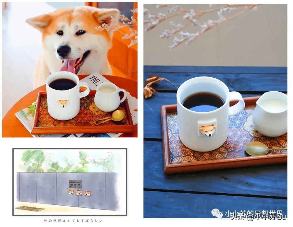 如何做精致的猪猪女孩,如何成为一个精致的猪猪女孩