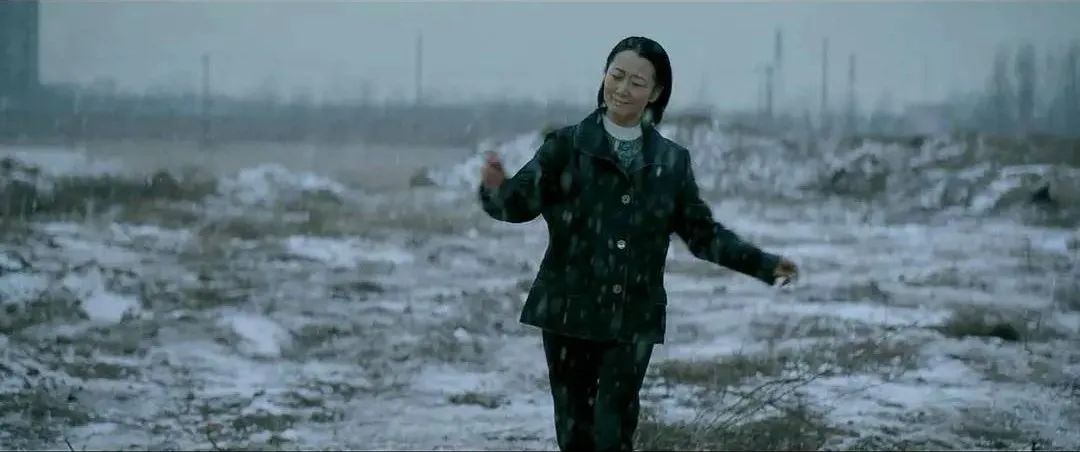 贾樟柯所有电影山河故人片头曲,贾樟柯的山河依旧在故人难再续