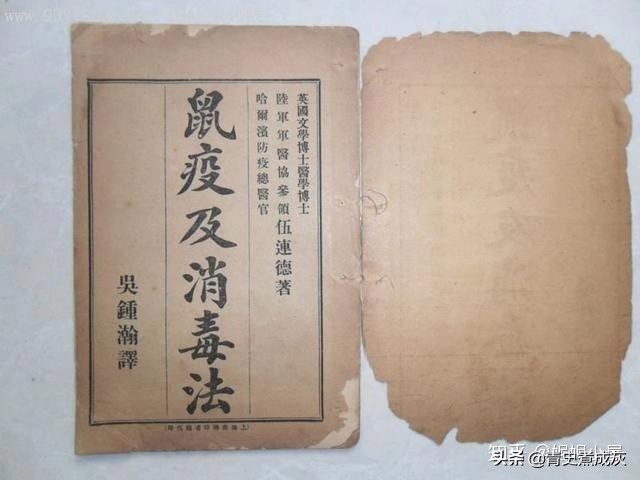 一百多年前的春节，东北的肺鼠疫，无药可治又是怎么赢的？