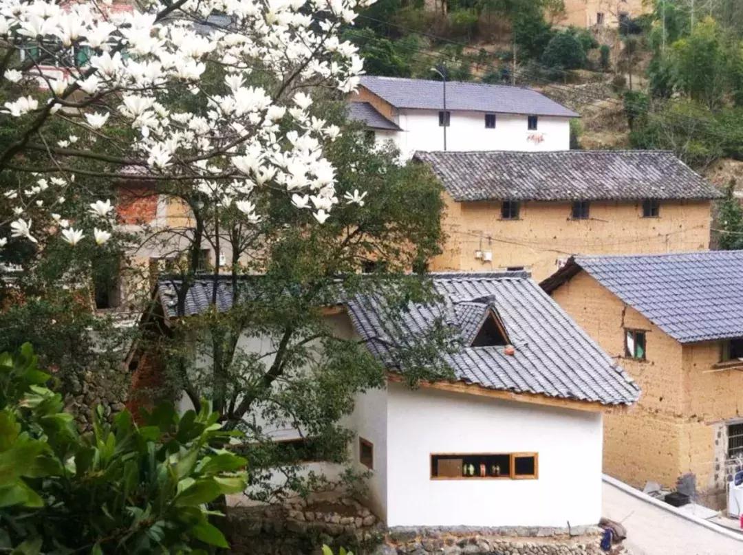 399元无边泳池,无边泳池抖音优惠团购