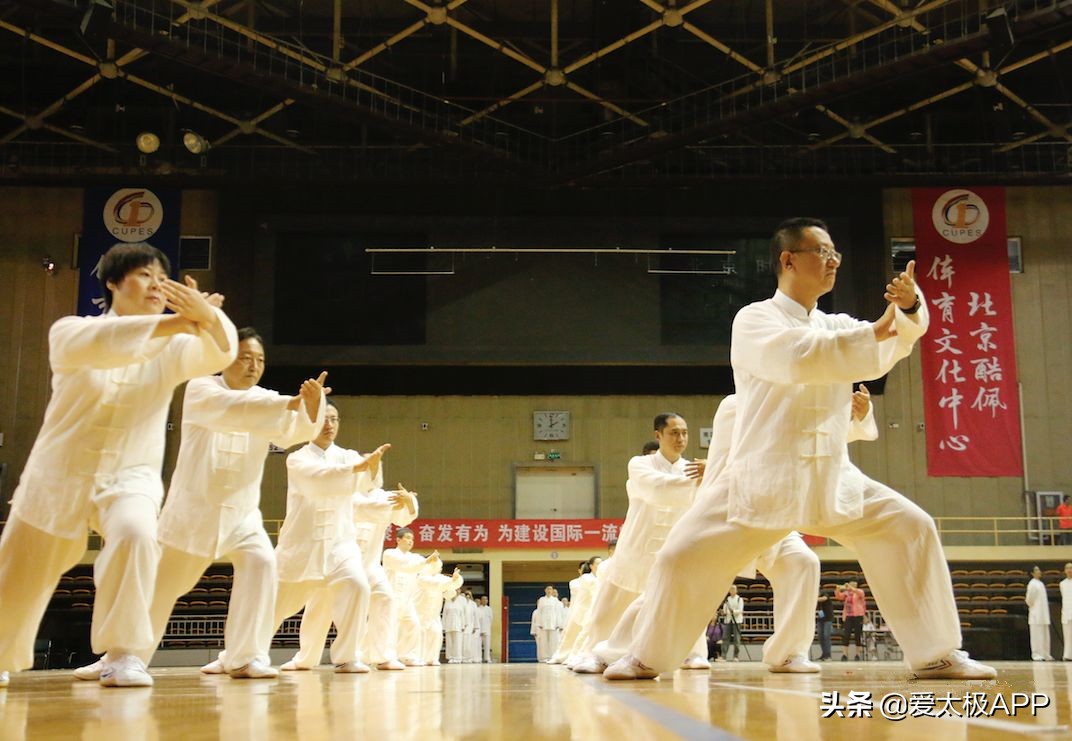 提脚不蹬太极拳是什么意思,太极拳提脚不蹬落地无声